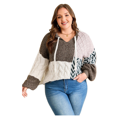 Women's Brown Plus Size Color Block Knotted-Back Sweater